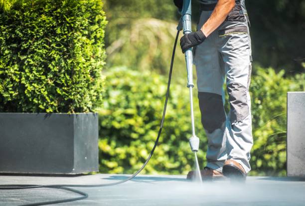 Best Gutter Cleaning  in Angustura, NM
